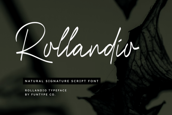 Rollandio: A Natural Script for Heartfelt Design